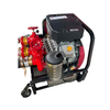 Portbale Fire Pump