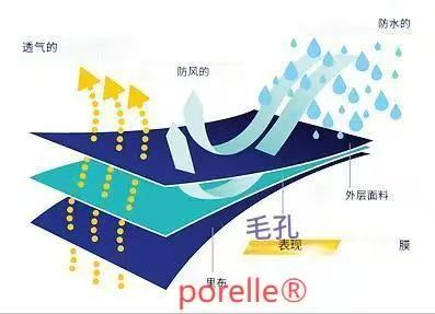 手套材料2